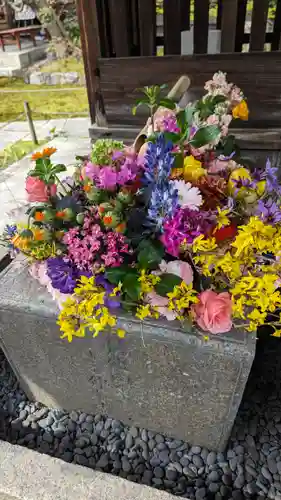 勝林寺(京都府)