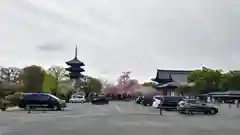 東寺（教王護国寺）(京都府)