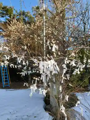小田井縣神社(兵庫県)