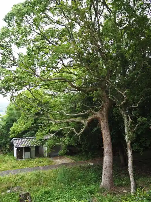 志太張神社の建物その他