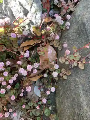 井際山 如意輪寺(愛知県)