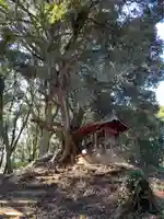 地神社のその他建物