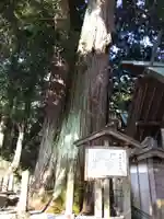 大杉神社(三重県)