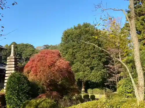 天台宗　長窪山　正覚寺の庭園