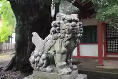 氣比神宮の狛犬