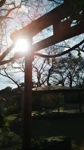 尾曳稲荷神社の鳥居