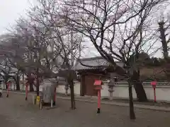 大慶寺の周辺