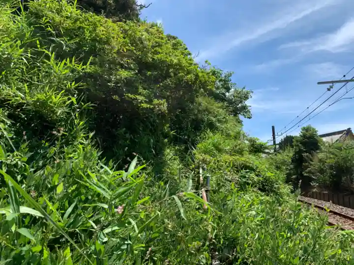 福徳稲荷大明神の自然