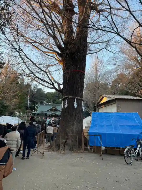 春日部八幡神社(埼玉県)