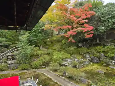 霊鑑寺門跡(京都府)