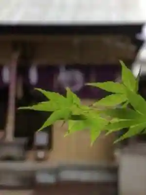 朝日神社(東京都)