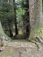 諏訪神社(茨城県)