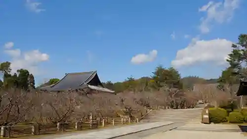 仁和寺のその他建物
