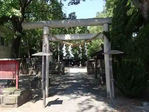 蘇我比咩神社の鳥居