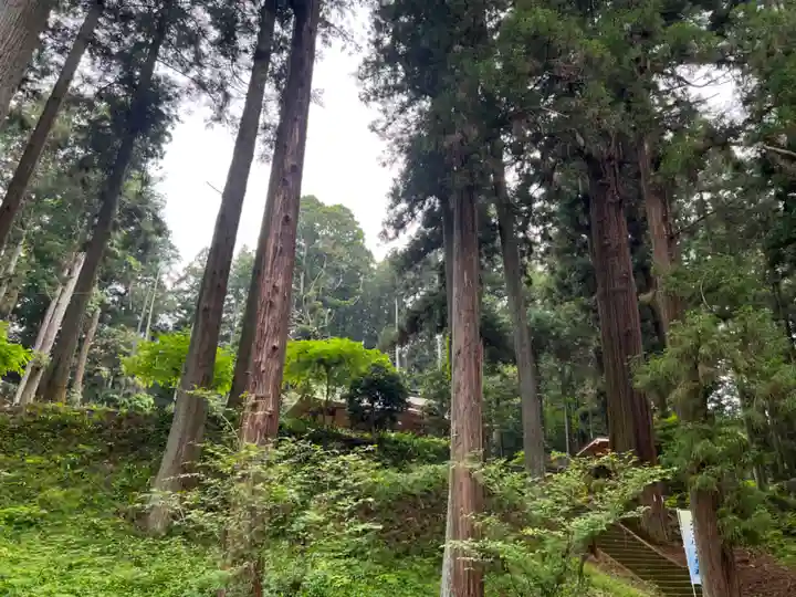 大宮温泉神社のその他建物