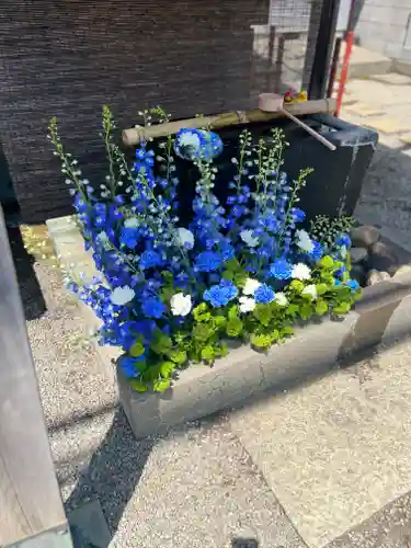 上尾御嶽神社の手水