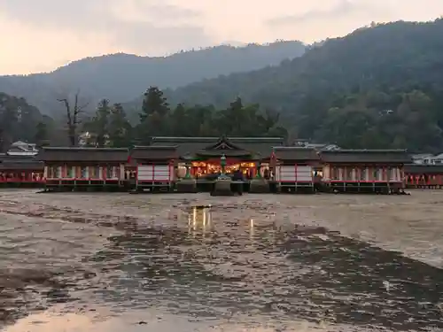 厳島神社の本殿