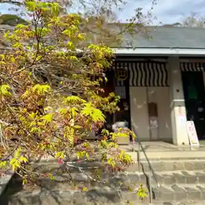伊勢の国 四天王寺(三重県)(2025年04月03日(木) 08時46分23秒投稿)