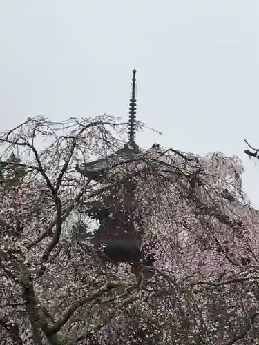 身延山 祖廟拝殿(山梨県)