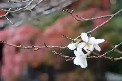 赤山禅院(京都府)