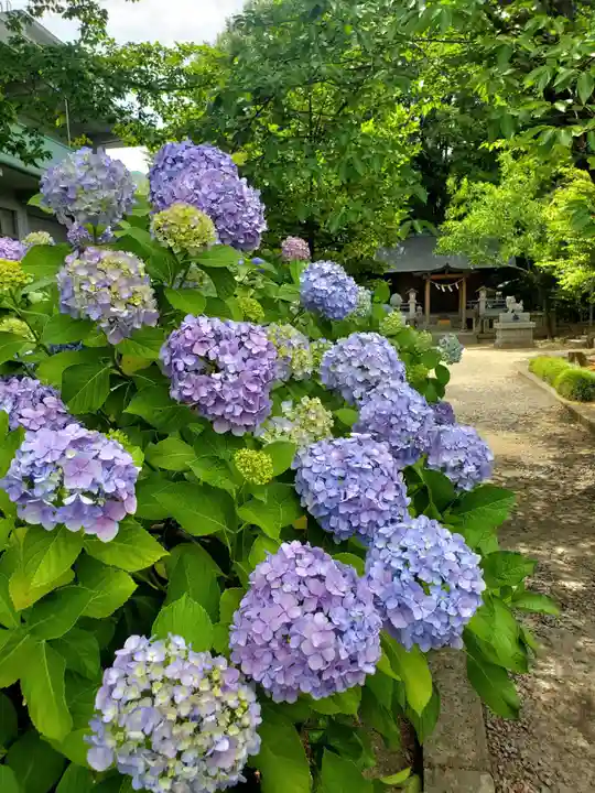 開成山大神宮(福島県)