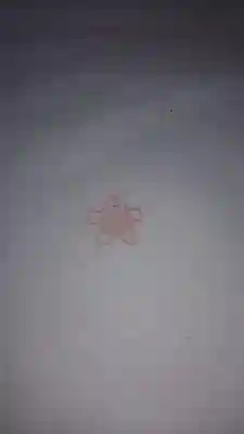 磯部稲村神社の授与品その他