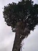 稲荷社(神奈川県)