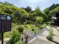 観音寺の{uncategorized: "未分類", other: "その他", undefined: "問題あり", building: "その他建物", grave: "お墓", sacred_gate: "鳥居", guardian: "狛犬", statue: "像", buddha: "仏像", history: "歴史", nature: "自然", garden: "庭園", animal: "動物", pagoda: "塔", temizu: "手水舎", mountain_gate: "山門・神門", sanctuary: "本殿・本堂", subordinate: "末社・摂社", art: "芸術", scenery: "景色", jizo: "地蔵", ema: "絵馬", goshuin: "御朱印", omikuji: "おみくじ", items: "授与品その他", amulet: "お守り", goshuincho: "御朱印帳", eats: "食事", festival: "お祭り", votive_dance: "神楽", shichigosan: "七五三参", wedding: "結婚式", experience: "体験その他", initially: "初詣", around: "周辺", anti_infection: "感染症対策"}