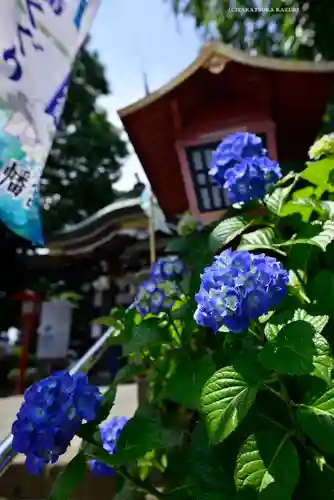 川越八幡宮(埼玉県)