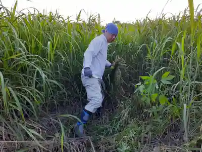 伏木香取神社の周辺