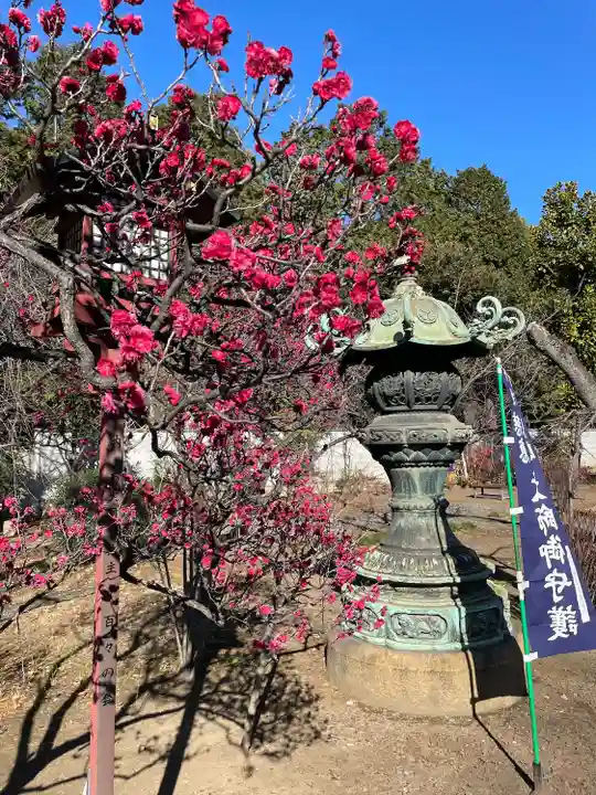 寛永寺開山堂(東京都)