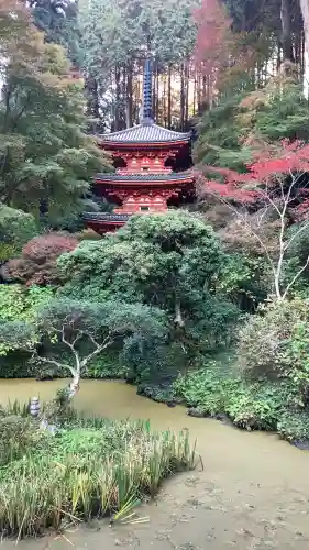岩船寺(京都府)