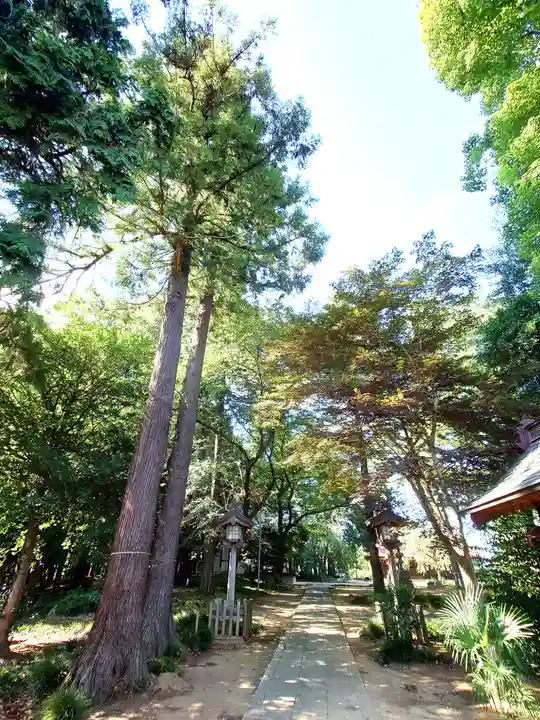 大宮住吉神社(埼玉県)