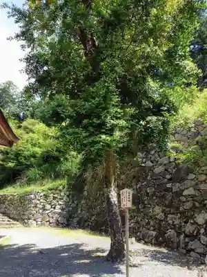 日吉大社(滋賀県)