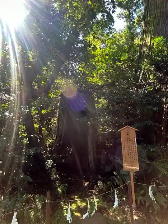 香取神宮(千葉県)