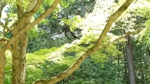 詩仙堂（丈山寺）(京都府)
