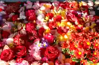 三津厳島神社(愛媛県)