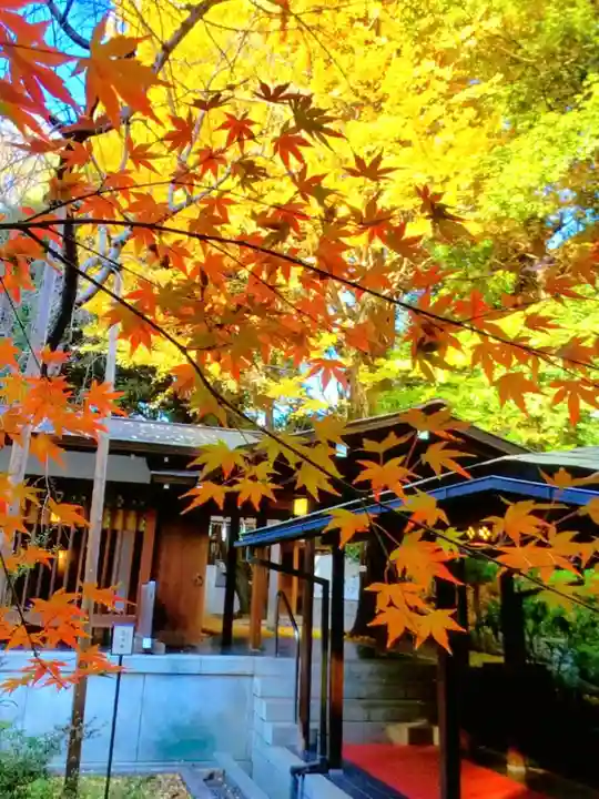 乃木神社(東京都)