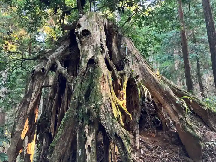 最乗寺(道了尊)(神奈川県)