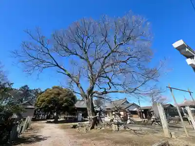 島田八坂神社(栃木県)