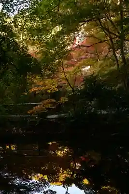 圓光寺(京都府)