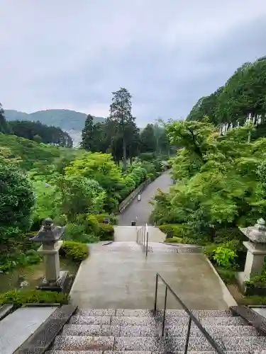 三室戸寺(京都府)
