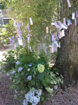 蛇窪神社(東京都)