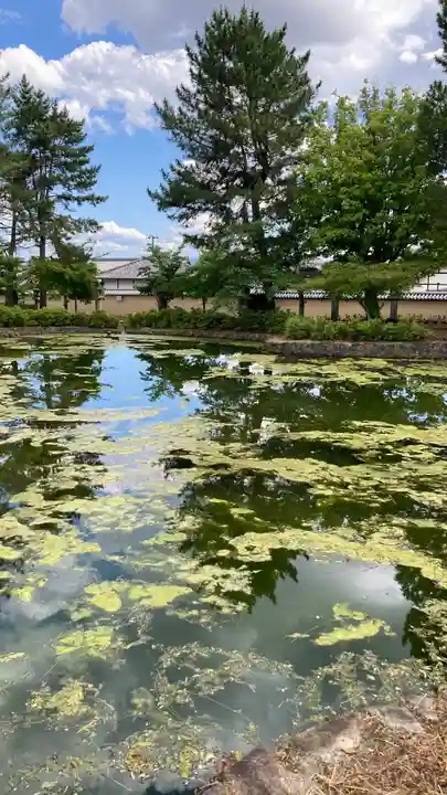 法隆寺(奈良県)