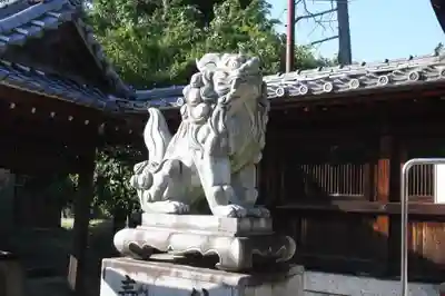 若宮神社の狛犬