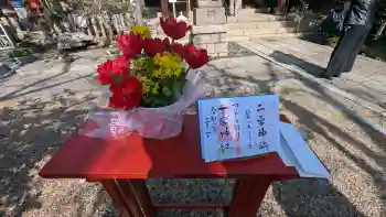 一宮神社の御朱印 2026年03月