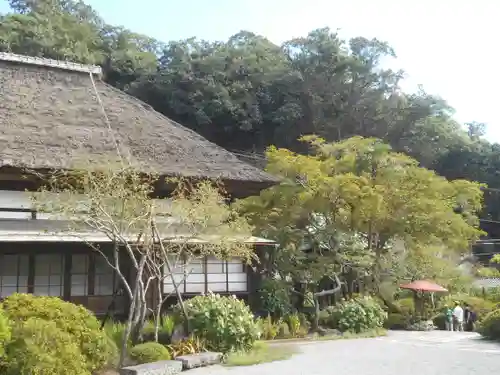 海蔵寺の庭園