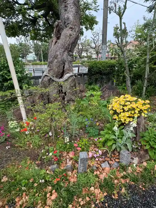 水堂須佐男神社の{uncategorized: "未分類", other: "その他", undefined: "問題あり", building: "その他建物", grave: "お墓", sacred_gate: "鳥居", guardian: "狛犬", statue: "像", buddha: "仏像", history: "歴史", nature: "自然", garden: "庭園", animal: "動物", pagoda: "塔", temizu: "手水舎", mountain_gate: "山門・神門", sanctuary: "本殿・本堂", subordinate: "末社・摂社", art: "芸術", scenery: "景色", jizo: "地蔵", ema: "絵馬", goshuin: "御朱印", omikuji: "おみくじ", items: "授与品その他", amulet: "お守り", goshuincho: "御朱印帳", eats: "食事", festival: "お祭り", votive_dance: "神楽", shichigosan: "七五三参", wedding: "結婚式", experience: "体験その他", initially: "初詣", around: "周辺", anti_infection: "感染症対策"}