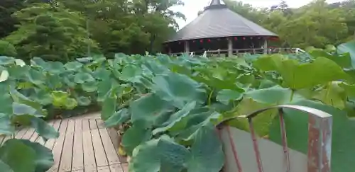 厳嶋神社の自然