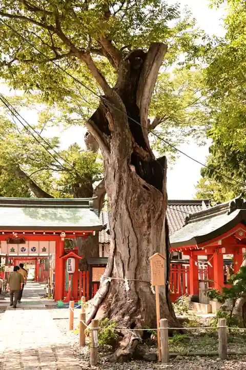 生島足島神社(長野県)
